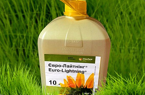 Eurolayting除草剤：命令、行動のスペクトル、消費率