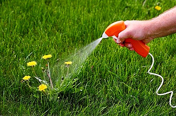 Herbicide "Ground": scope, mechanism of action, advantages and disadvantages of the drug