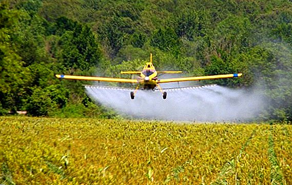Herbicide "Legion": method of application and consumption rate