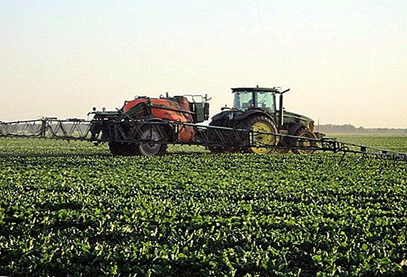 Herbicide "Lontrel Grand": method of application and consumption rates