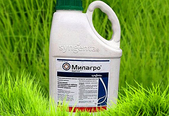 Milagro Herbicide: الوصف ، طريقة التطبيق ، معدل الاستهلاك
