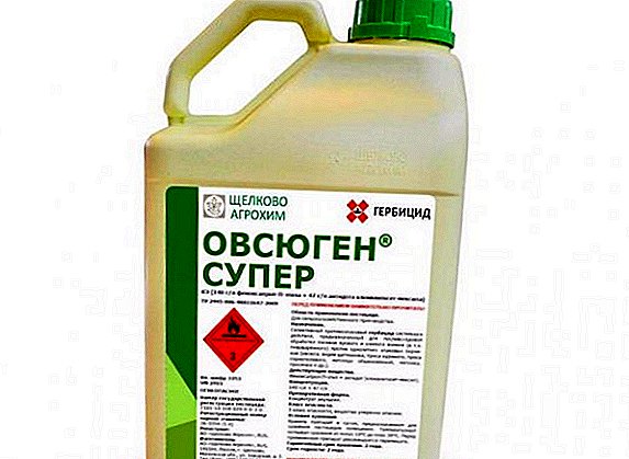 مبيدات الأعشاب "Ovsyugen Super": الخصائص ، وكيفية استخدامها