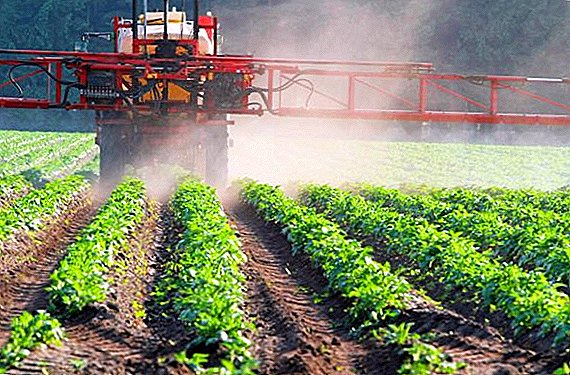 Herbizid "Pivot": Wirkstoff, Anweisung, Verbrauchsrate