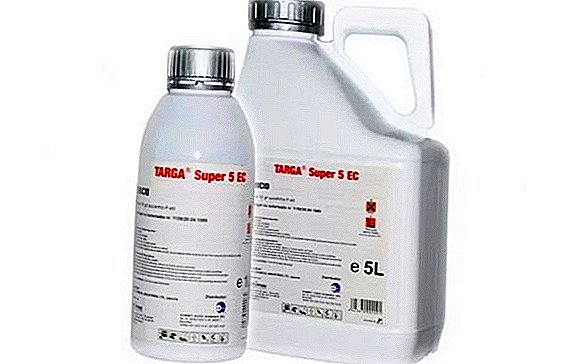 Herbicid "Targa Super": metod för användning och konsumtionshastigheter