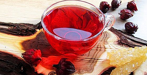Hibiscus (hibiscus tea): użyteczne właściwości i przeciwwskazania