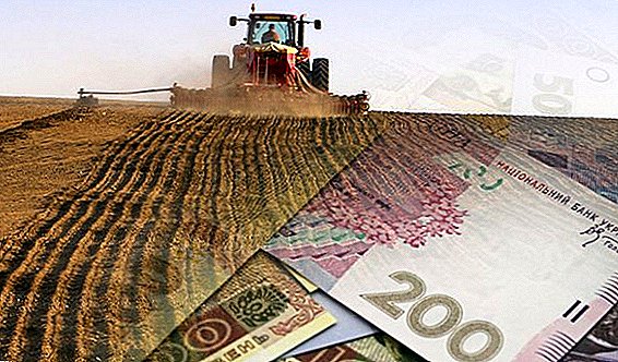State support of Ukrainian farmers will help increase agricultural production