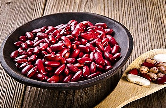 Vaření červených fazolí: recepty, metody rychlého vaření