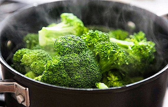 Cozinhando e colhendo brócolis
