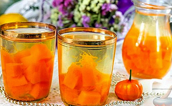Cooking pumpkin compote: recipes for winter