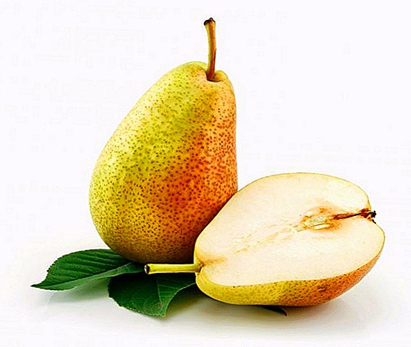 Pear "Beauty Chernenko": characteristics, pros and cons