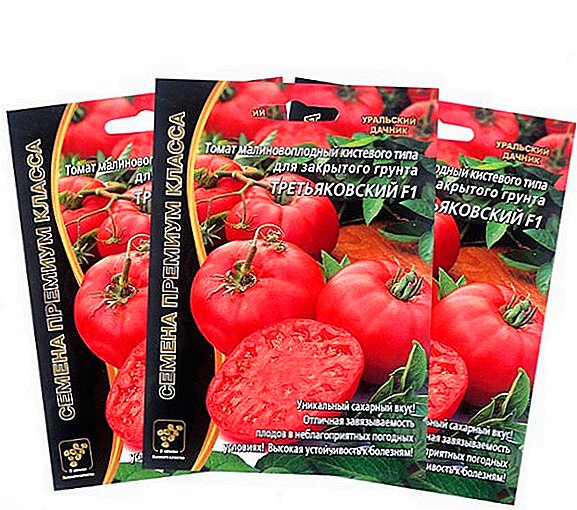 Characteristic varieties of tomatoes "Tretyakov"