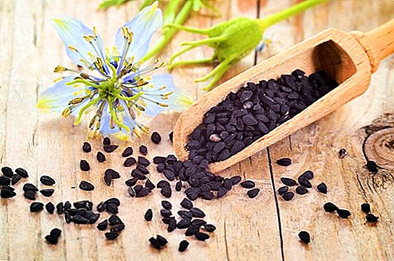 Chemical and vitamin composition of black cumin