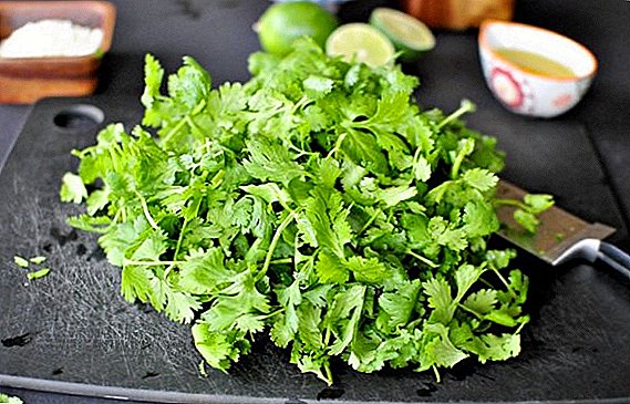Composición química y valor nutricional del cilantro.