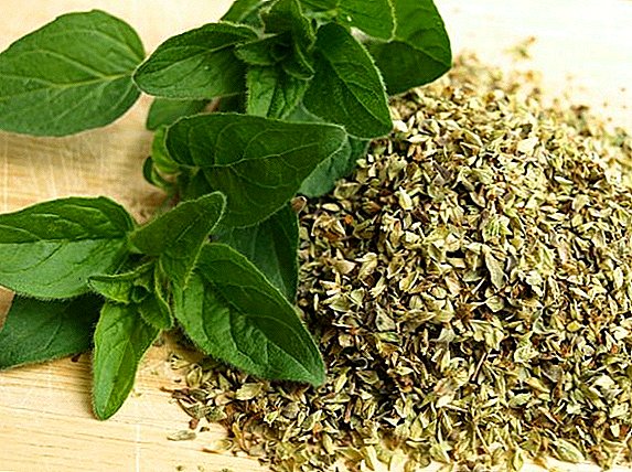 Chemical composition and use of oregano