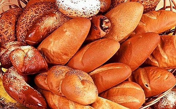 "Brød og sirkus": Bakers of Russia er misfornøyd med prisene på brød