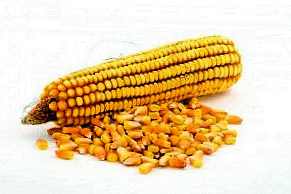 Lossless corn storage
