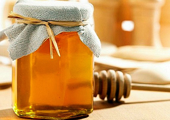 Almacenando miel en casa