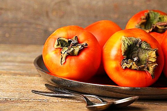 Persimmon: useful properties and contraindications