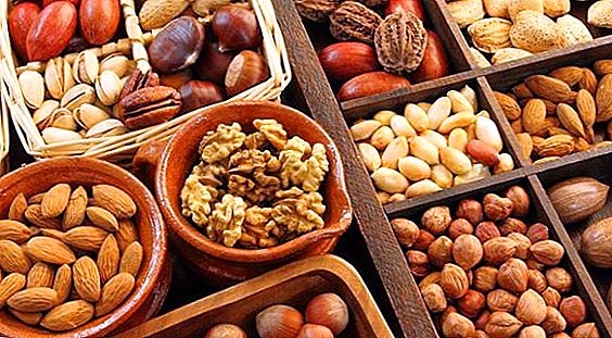 De invoer van noten naar Oekraïne steeg met meer dan een derde