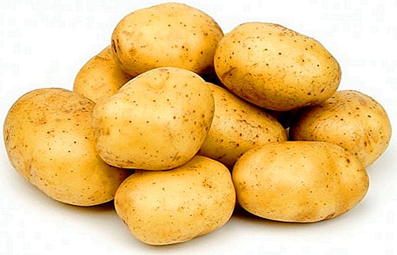 I raccolti di patate indiani distruggono piogge anomale