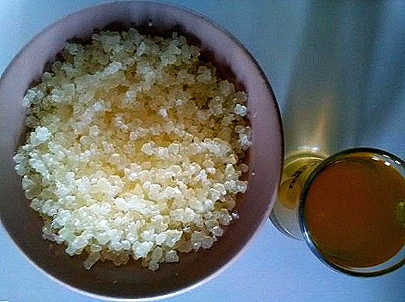 Hint pirinci: yararlı olan, tedavi eden, infüzyonun nasıl hazırlanacağı ve uygulanacağı