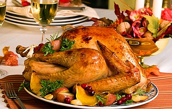Turkey: how many calories in meat, what is useful, what taste, what is combined with