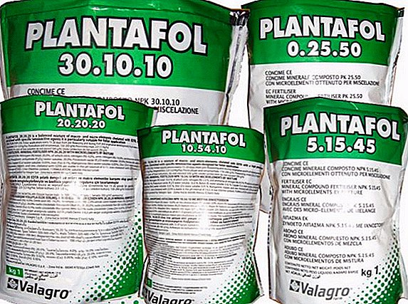 Anweisungen, Effizienz und Nutzen des Düngemittels "Plantafol"
