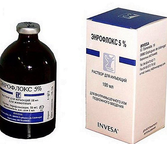 Instructions pour l'utilisation du médicament "Enrofloks"