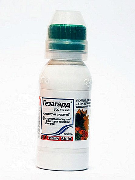 Arahan untuk menggunakan ubat "Gezagard" di taman
