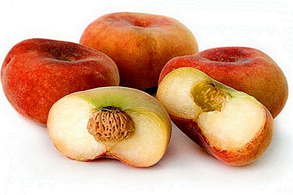 Fig peach: the benefits and harm