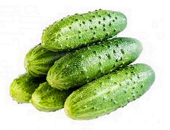 Artificial intelligence shows success in agronomy: he learned to grow cucumbers