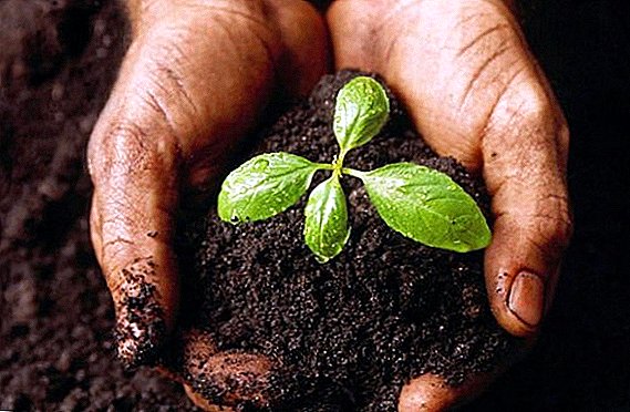 The use of different types of organic fertilizers