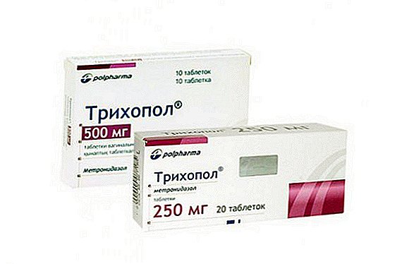 Verwendung von "Trikhopol" (Metronidazol) aus Phytophtoras an Tomaten