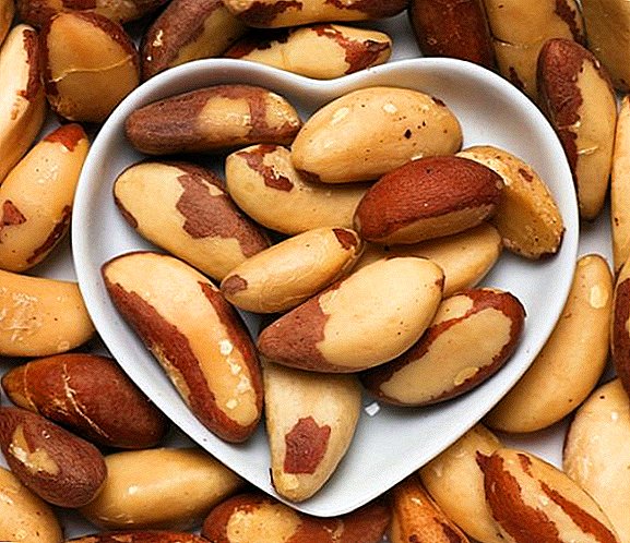 What does Brazil nut consist of and is useful for women