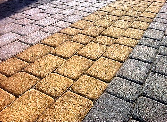 We make forms for paving stones from various materials