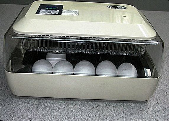 Overview of the incubator for eggs "Janoel 24"