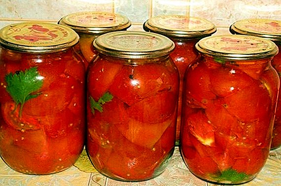 Kuidas valmistada tomatid želees: samm-sammult fotodega retsept