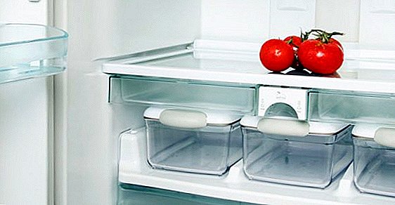 Jak a kde skladovat rajčata, proč ne držet rajčata v chladničce