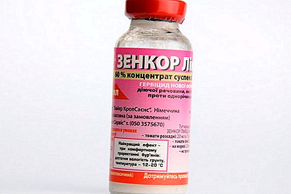 Verwendung des Herbizids "Zenkor" zur Bekämpfung bösartiger Unkräuter