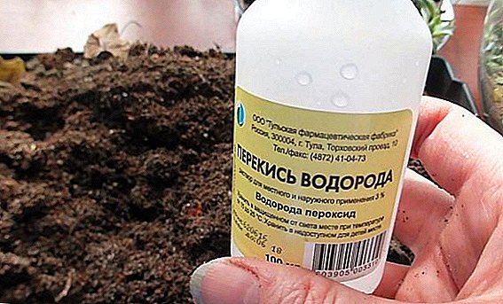 How to use hydrogen peroxide for seeds and plants