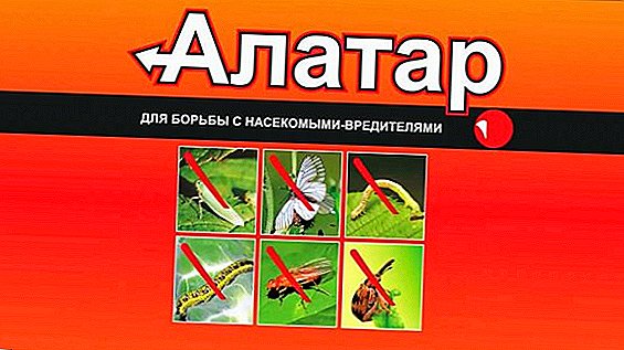 Cómo usar la droga "Alatar" en el jardín: instrucciones para el uso de un insecticida