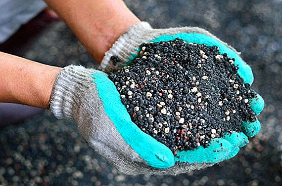 Cómo utilizar el fertilizante "Sudarushka" en el jardín para mejorar los rendimientos