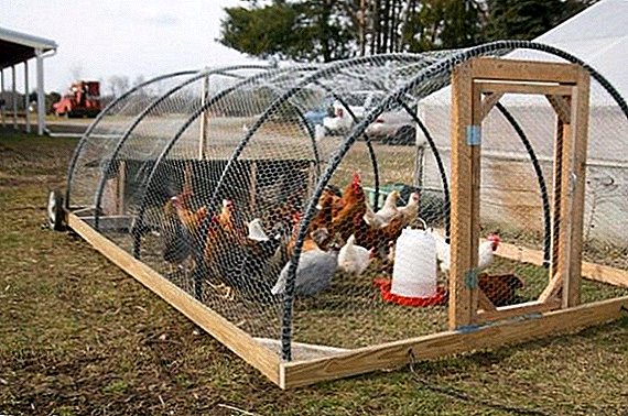 Hur man gör en kyckling coop från ett växthus