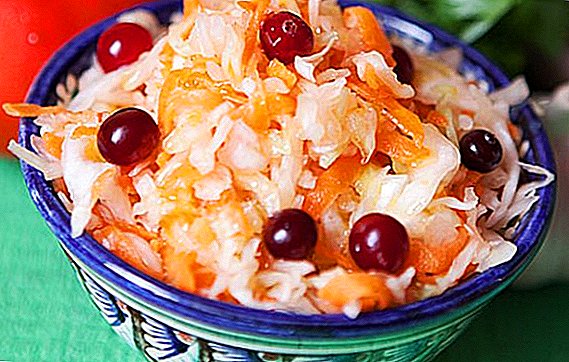How to make sour cabbage with cranberries: a recipe for winter