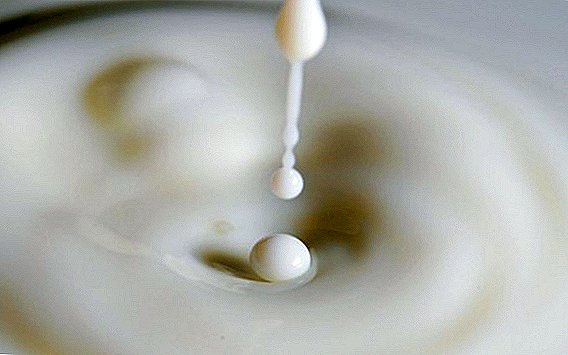 How to determine the water in milk