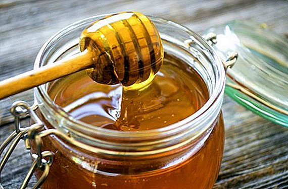 Hoe om gewicht te verliezen met honing
