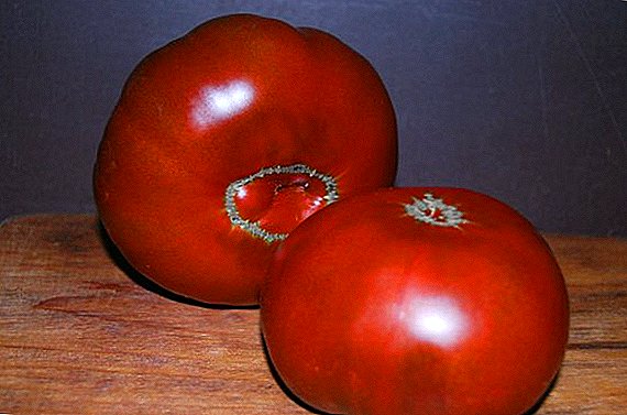Cómo plantar y cultivar un tomate cherokee.