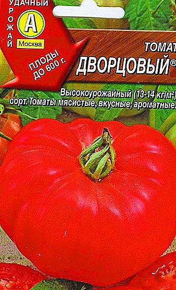 Wie man eine Tomate "Palace" anpflanzt und züchtet