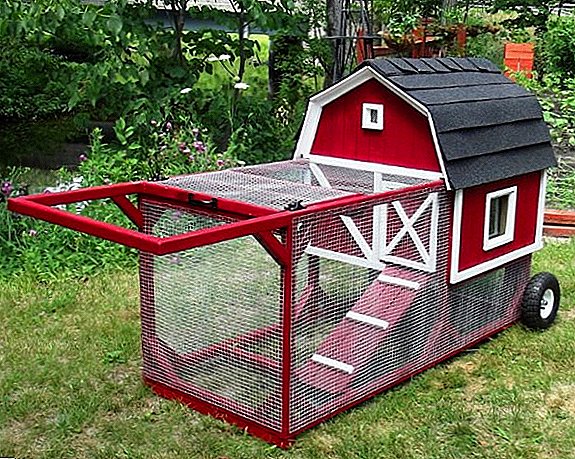 How to build a portable chicken coop with your own hands