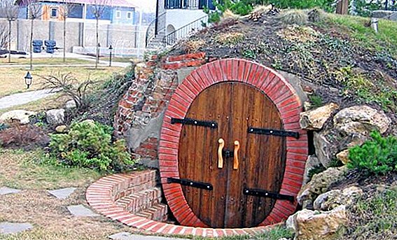 How to build a cellar in the country?